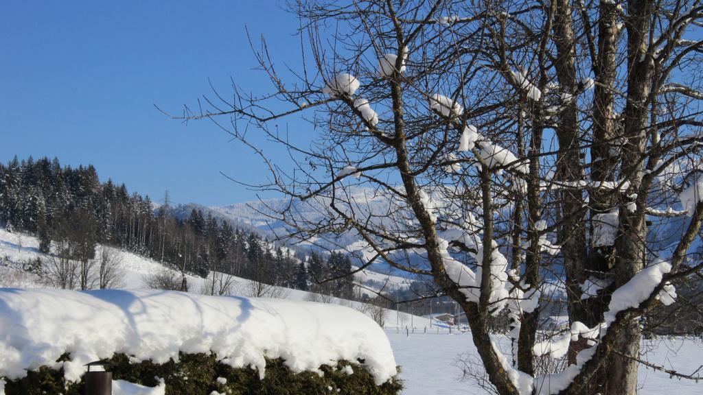 Ramseiderhof Daire Saalfelden Dış mekan fotoğraf